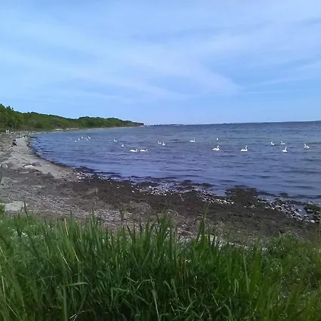 Holiday home 4 Star In Karrebaeksminde-by Traum